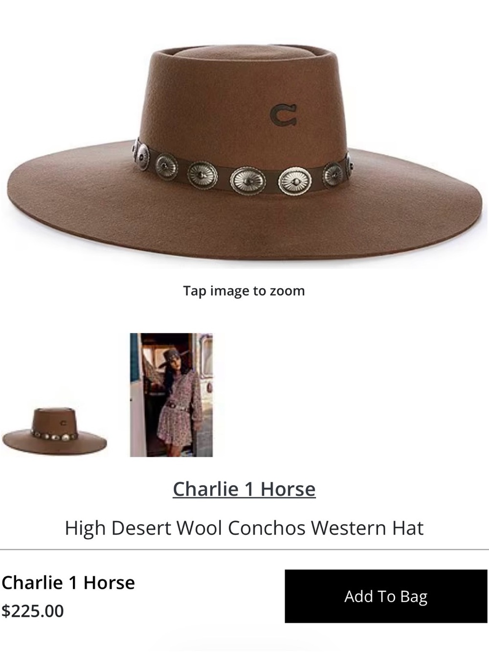 Charlie 1 Horse High Desert Wool Conchos Western Hat — Brown